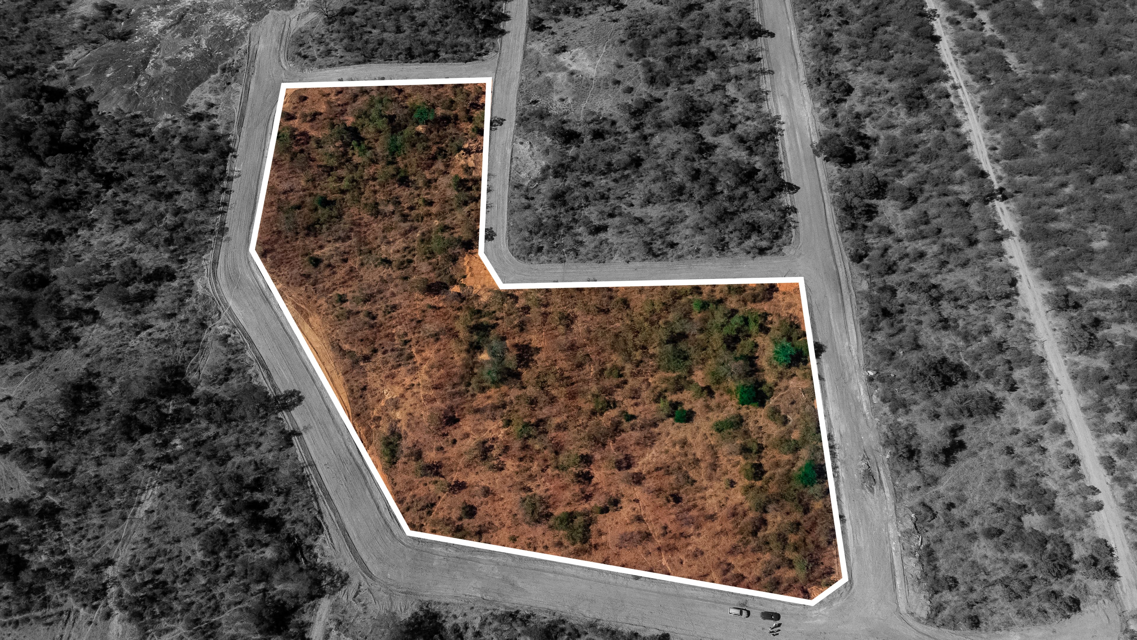 Real Estate & Land Development